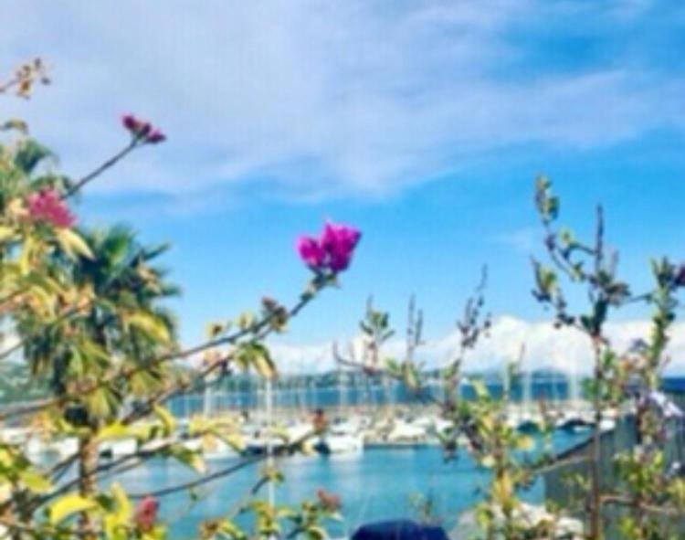 Petit Cocon Magnifique Vue Sur Marina Dans Le Golfe De Saint Tropez Apartment Cogolin Exterior foto