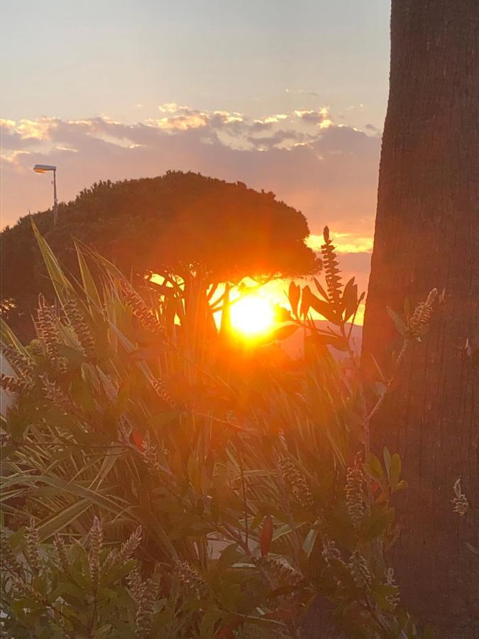 Petit Cocon Magnifique Vue Sur Marina Dans Le Golfe De Saint Tropez Apartment Cogolin Exterior foto