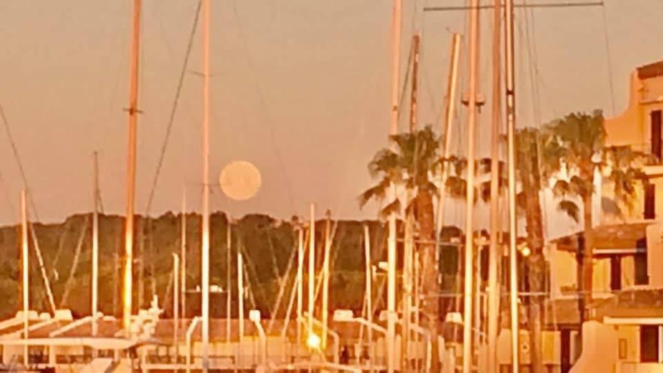 Petit Cocon Magnifique Vue Sur Marina Dans Le Golfe De Saint Tropez Apartment Cogolin Exterior foto